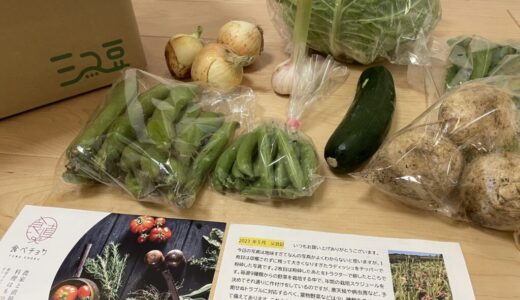 食べチョクのクーポン招待コードについて【1,000円分の割引】日本最大の産直通販サイト食べチョクを毎月利用している感想と実際に届いた野菜やフルーツを詳細にレビューしています【AD】
