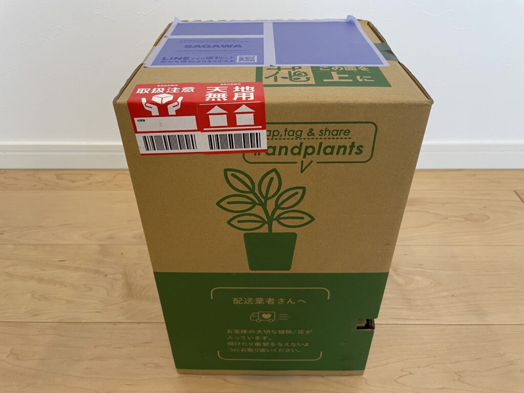 アンドプランツの梱包ANDPLANTS観葉植物通販
