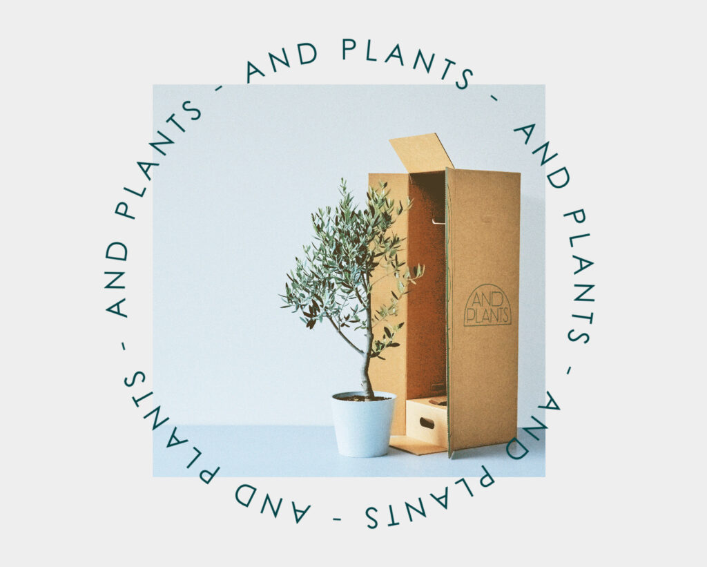 アンドプランツANDPLANTS観葉植物オンラインショップ